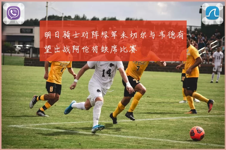 明日骑士对阵绿军米切尔与韦德有望出战阿伦将缺席比赛