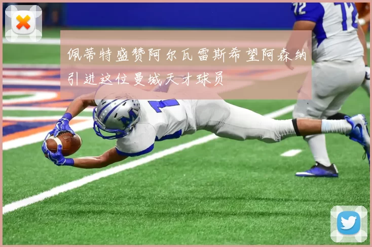 佩蒂特盛赞阿尔瓦雷斯希望阿森纳引进这位曼城天才球员